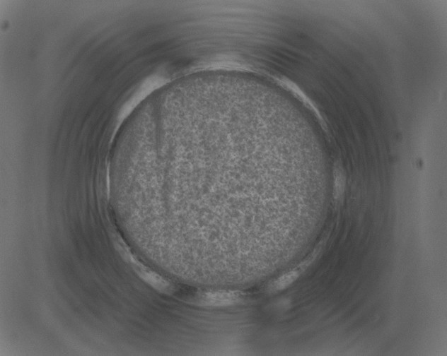 X0000081421274200702092125