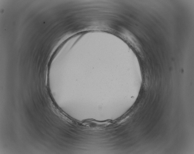 X0000081421276200702092125