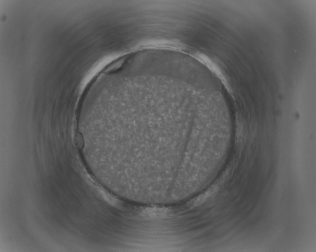 X0000081421277200702092125