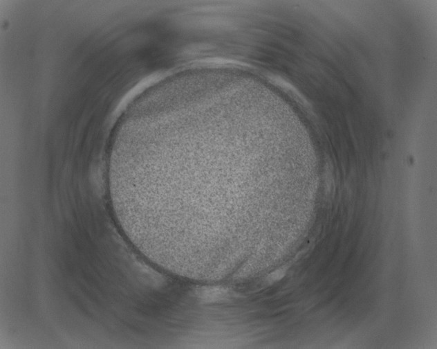 X0000081421278200702092124