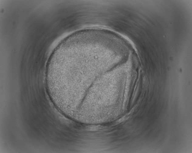 X0000081421279200702092124