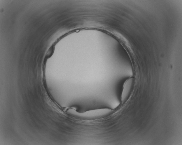 X0000081421280200702092124