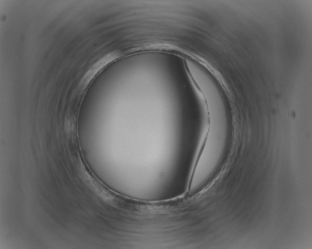 X0000081421281200702092124