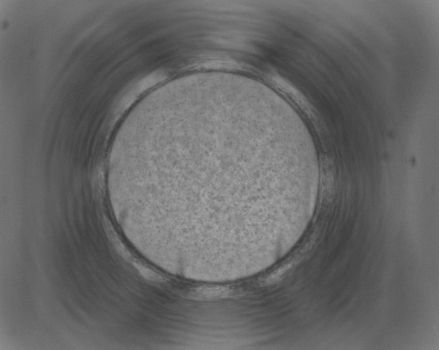 X0000081421282200702092124