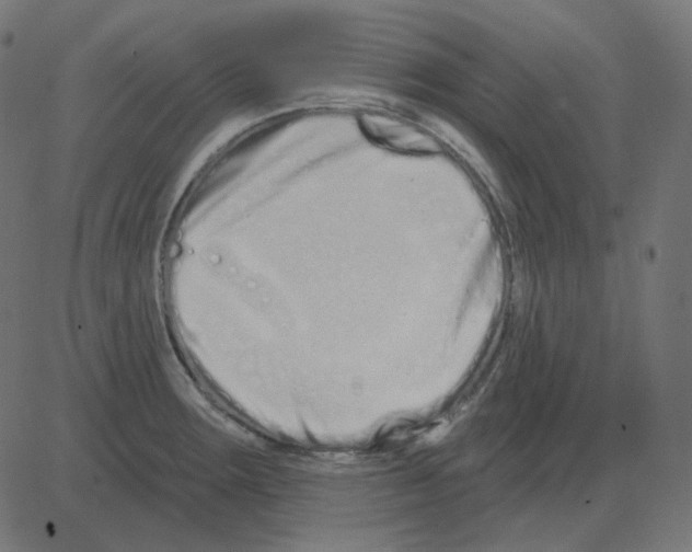 X0000081421283200702092124