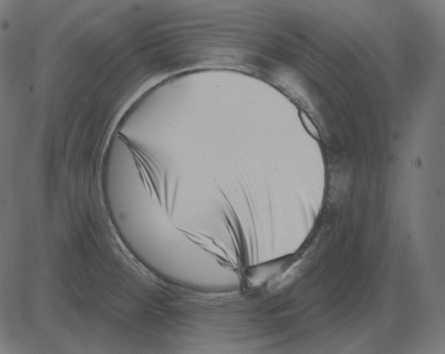 X0000081421284200702092124