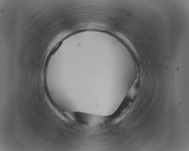 X0000081421285200702092124