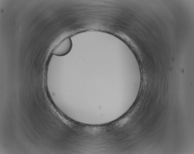 X0000081421286200702092124