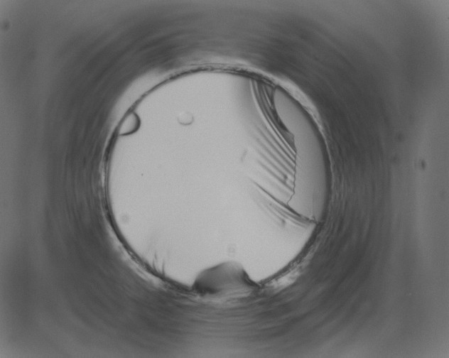 X0000081421287200702092124