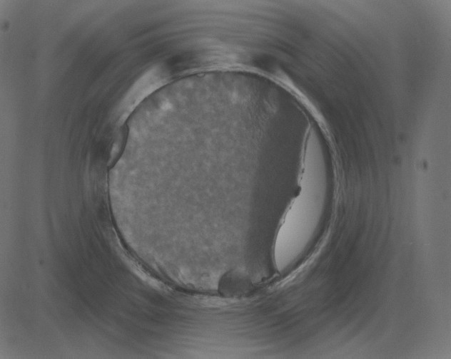 X0000081421289200702092124