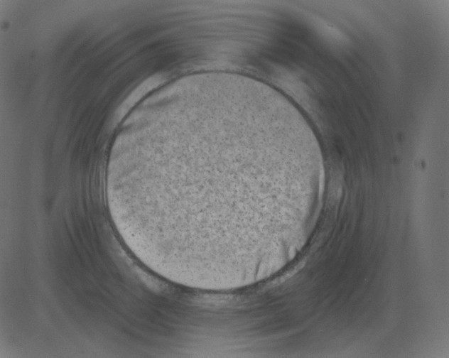 X0000081421290200702092124