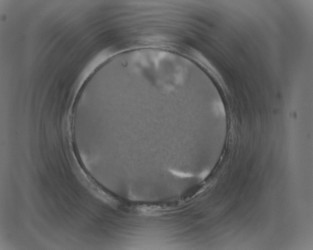 X0000081421291200702092124