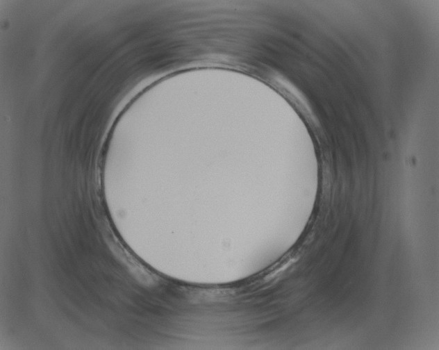 X0000081421292200702092124