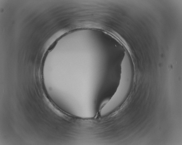 X0000081421293200702092124