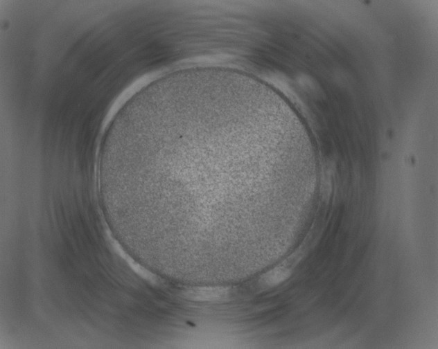 X0000081421294200702092124