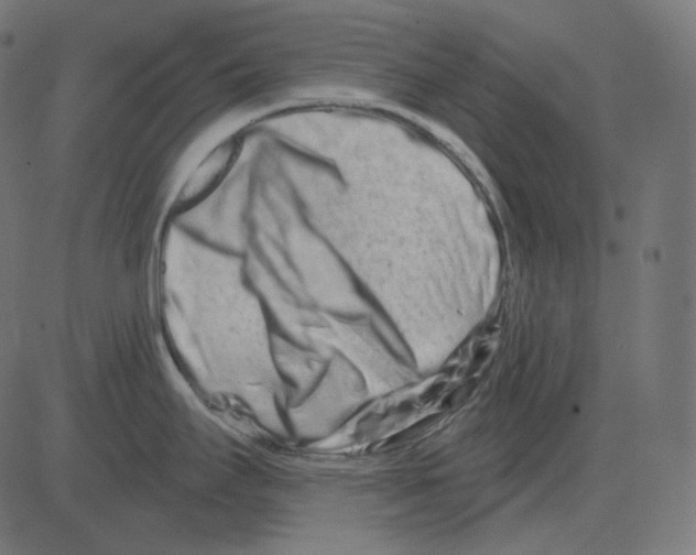 X0000081421295200702092124