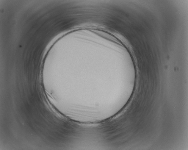 X0000081421296200702092124