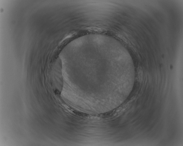 X0000081421297200702092123