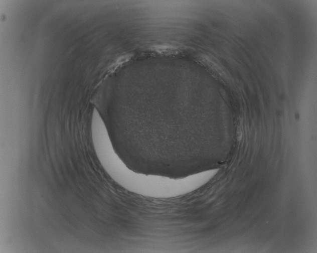 X0000081421298200702092123