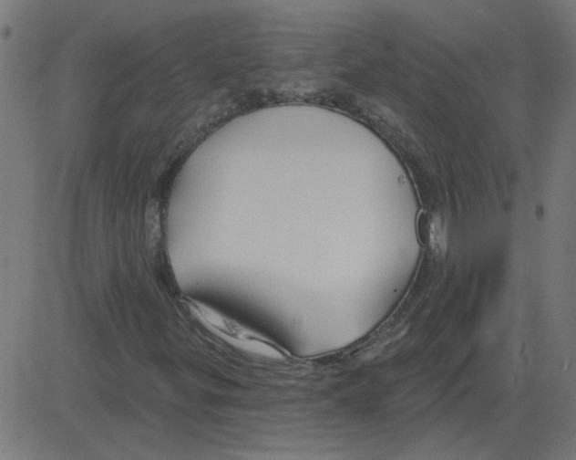 X0000081421299200702092123