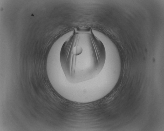 X0000081421300200702092123