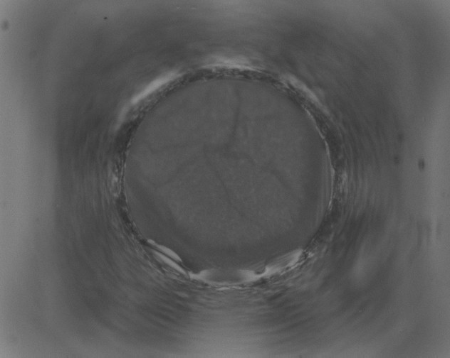 X0000081421303200702092124