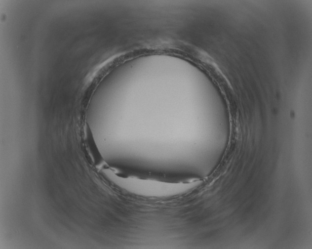 X0000081421304200702092124