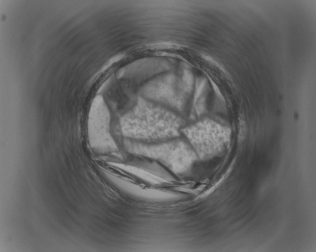 X0000081421305200702092124