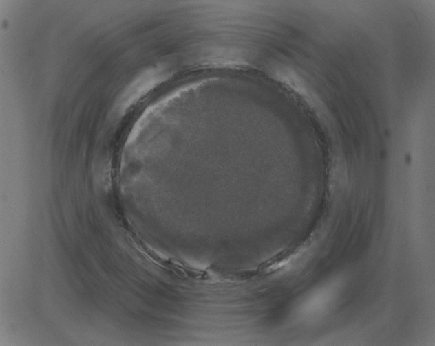 X0000081421306200702092124