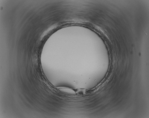 X0000081421307200702092124