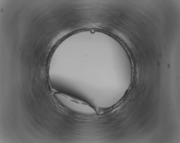 X0000081421308200702092124