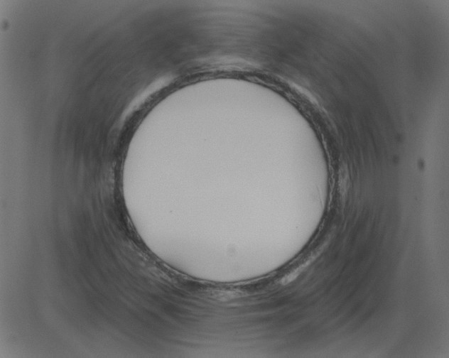 X0000081421309200702092124