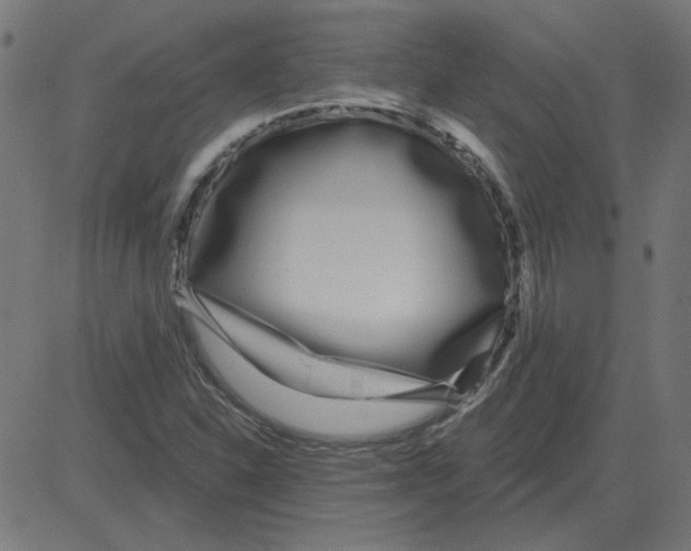 X0000081421310200702092124