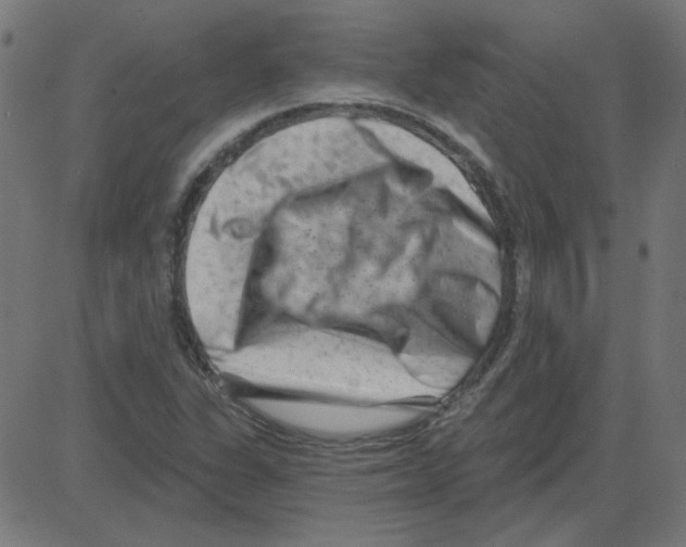 X0000081421311200702092124