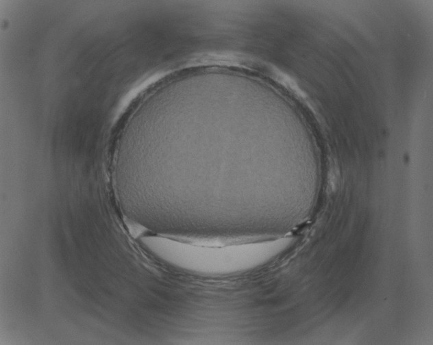 X0000081421312200702092124