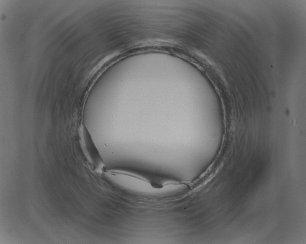 X0000081421313200702092124