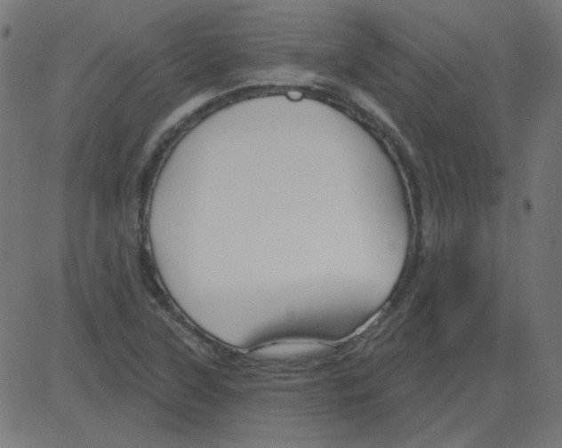 X0000081421315200702092124