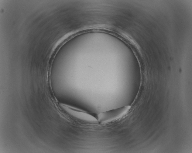 X0000081421316200702092124