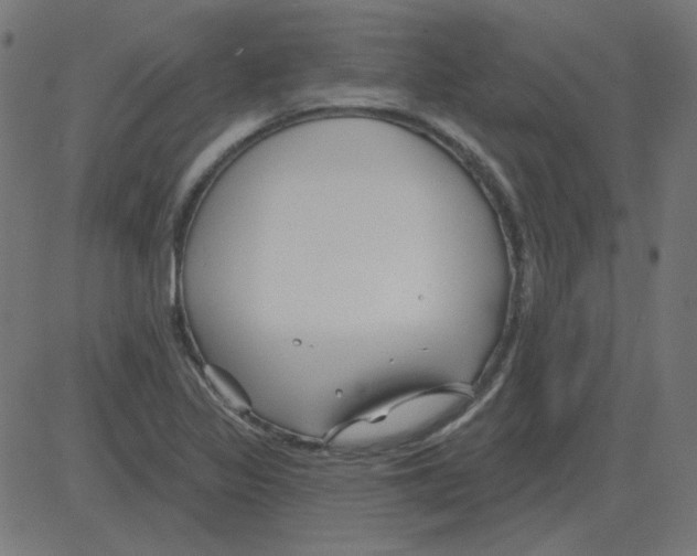 X0000081421317200702092124