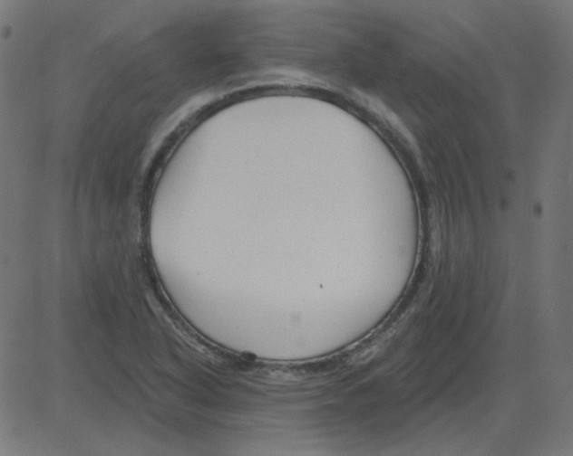 X0000081421318200702092124