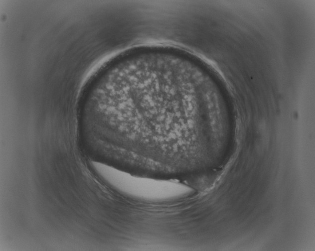 X0000081421319200702092124