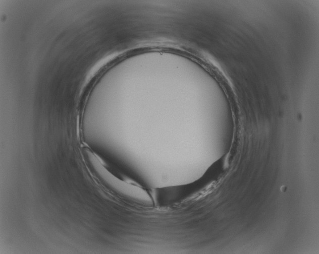 X0000081421320200702092124