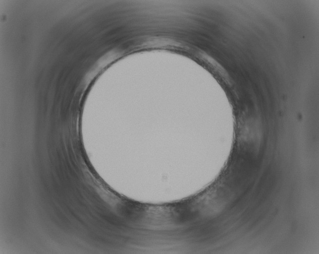 X0000081421322200702092124