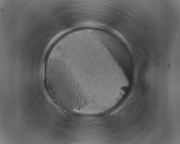 X0000081421323200702092124