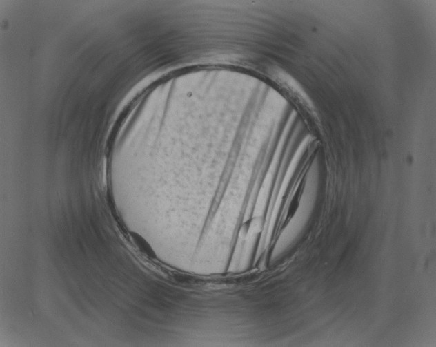 X0000081421324200702092124