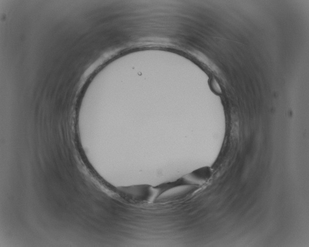 X0000081421325200702092124