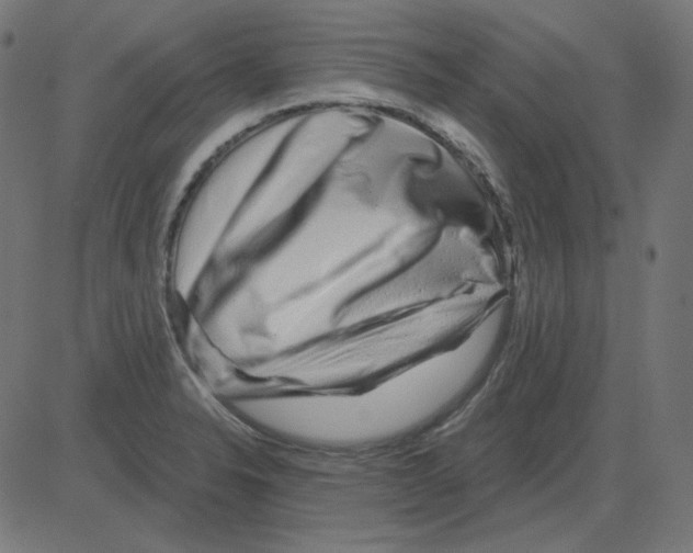 X0000081421326200702092124