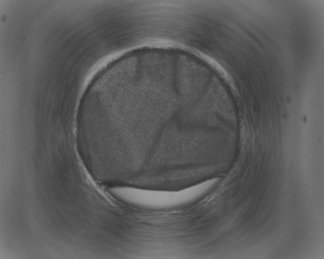 X0000081421327200702092124