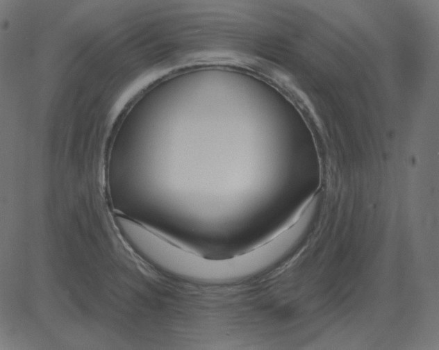 X0000081421328200702092124