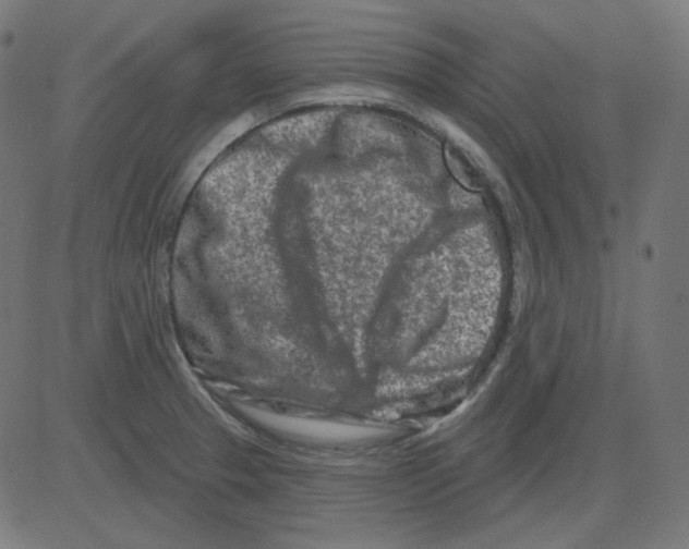 X0000081421329200702092124